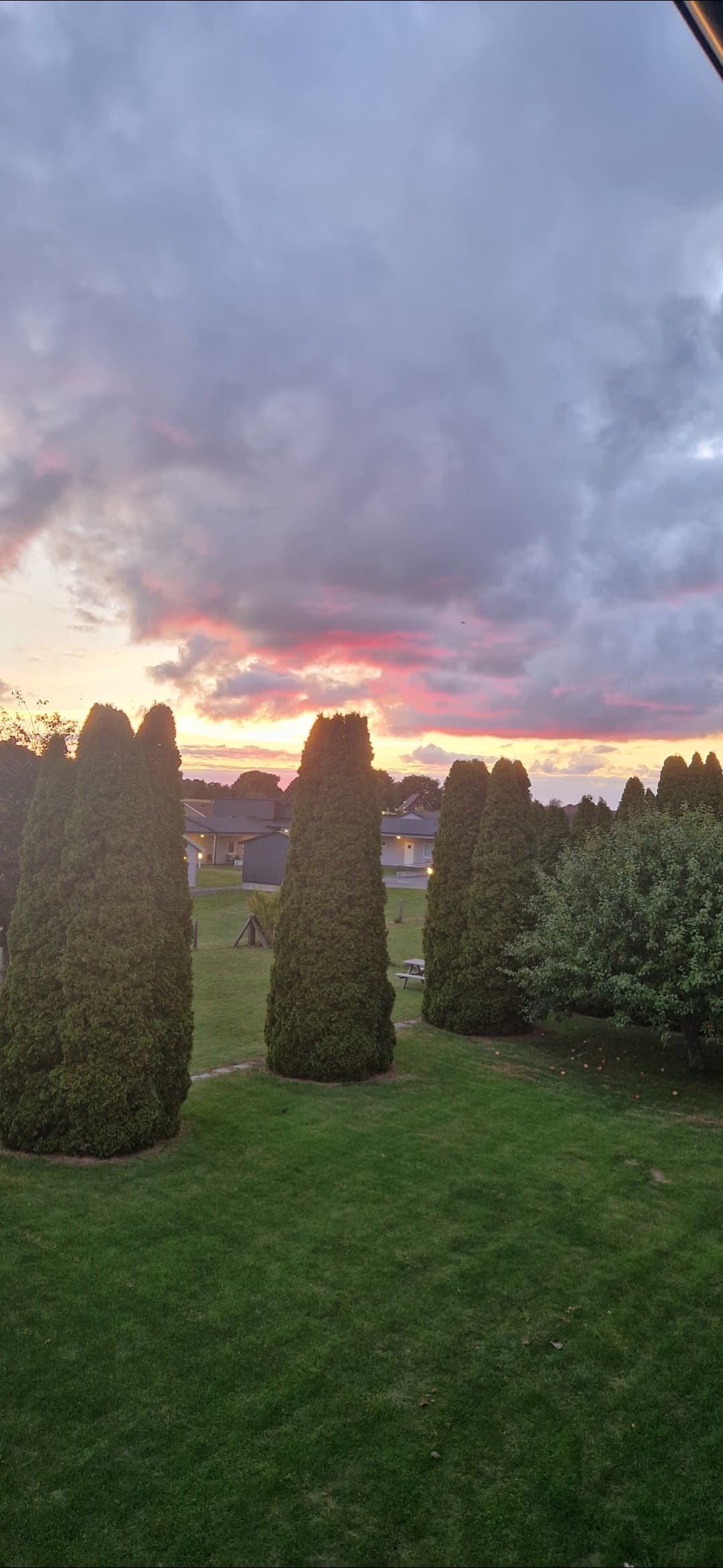 Billede 2