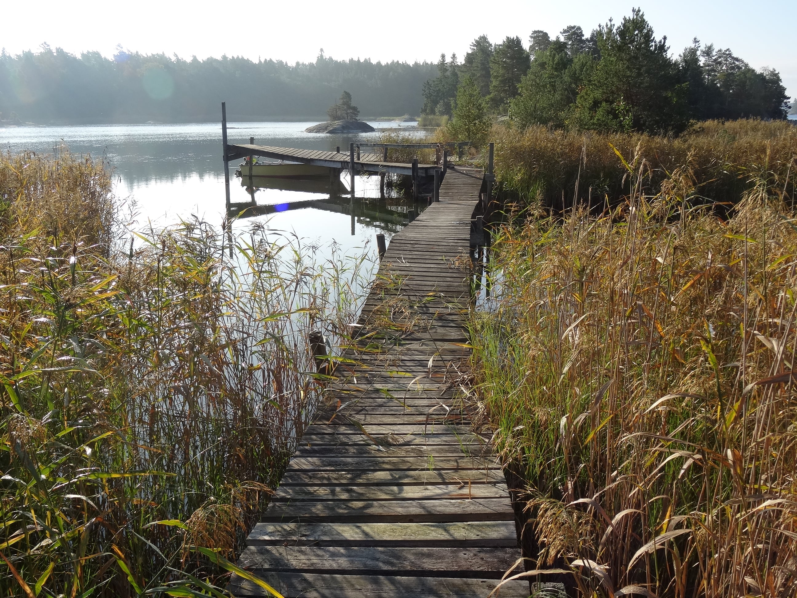 Stuga i Trosa skärgård mitt i naturen uthyres