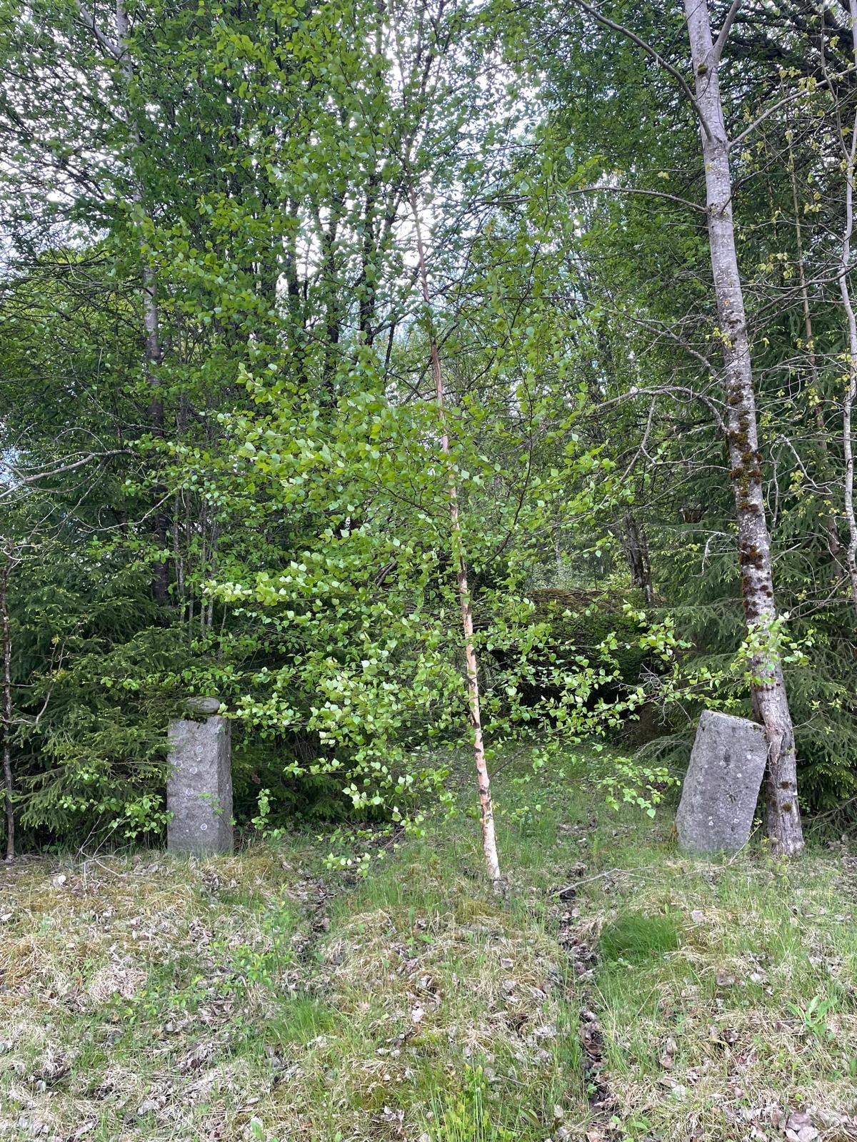 Billig fastighet – stor tomt i naturnära läge (off-grid möjlighet) Unik möjlighet att förvärva en prisvärd fastighet i naturnära läge. Perfekt för dig som söker ett off-grid liv eller ett eget fritidsprojekt.