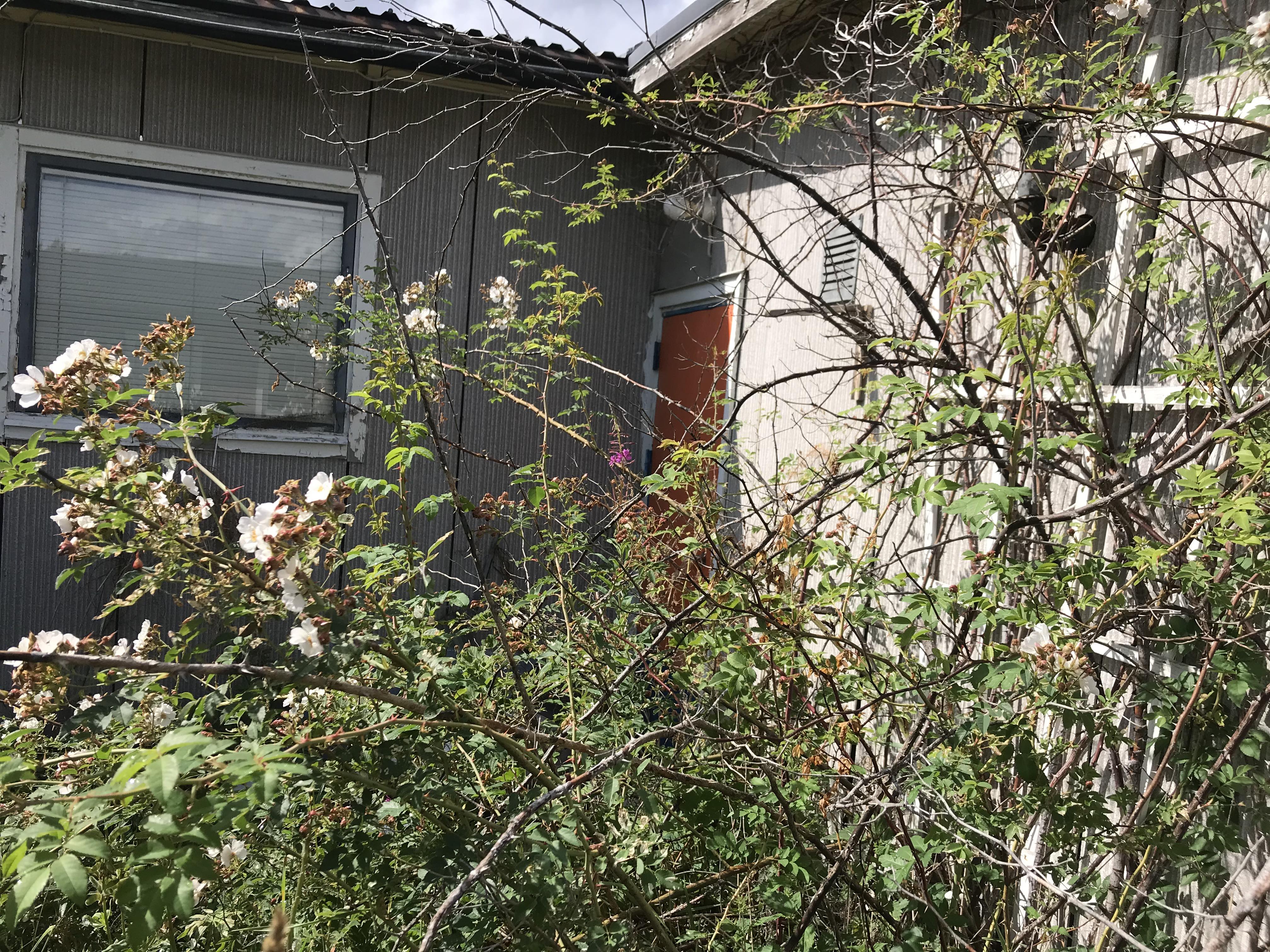 Villa 80+44 kvm. Tomt 875 kvm. Renoveringsobjekt.