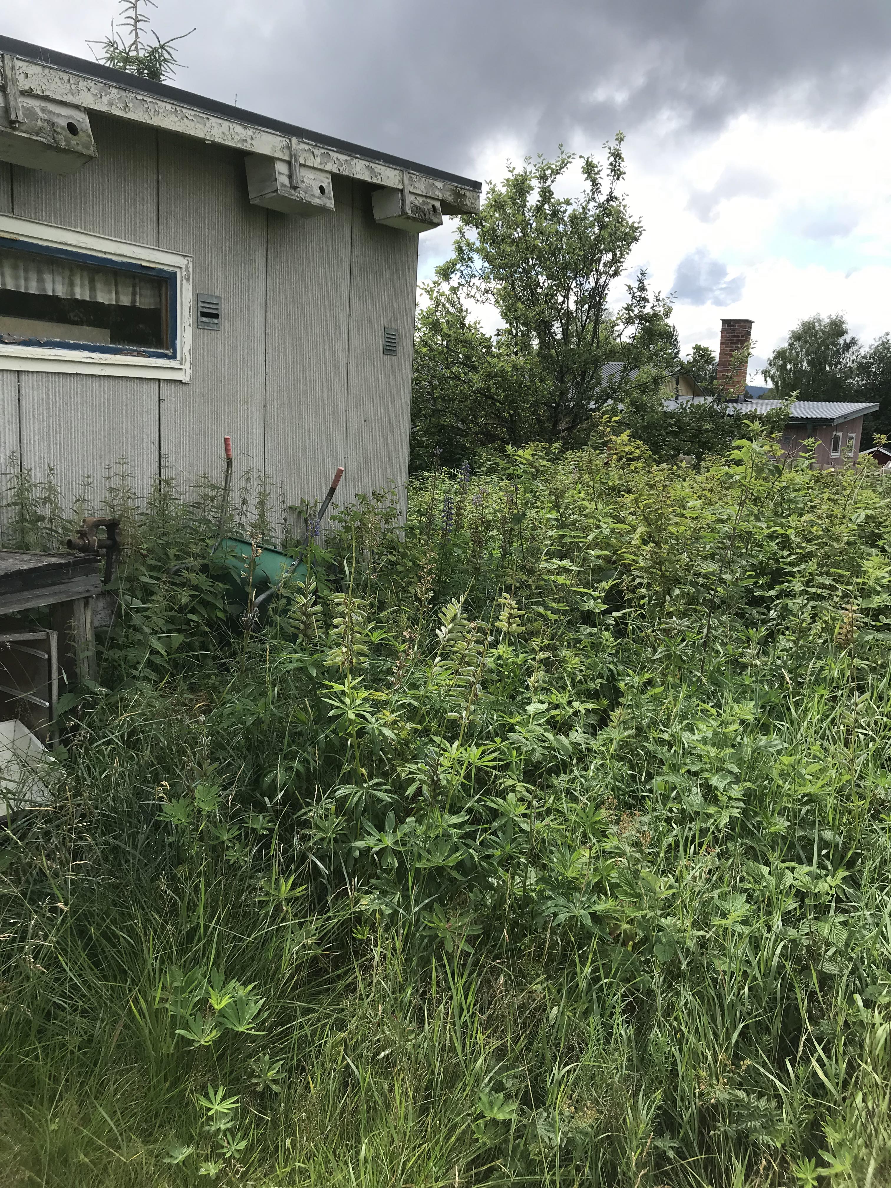 Villa 80+44 kvm. Tomt 875 kvm. Renoveringsobjekt.