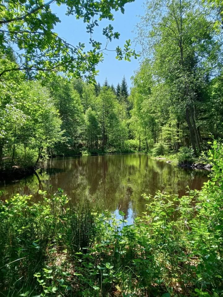 Kolonistuga i Perstorp