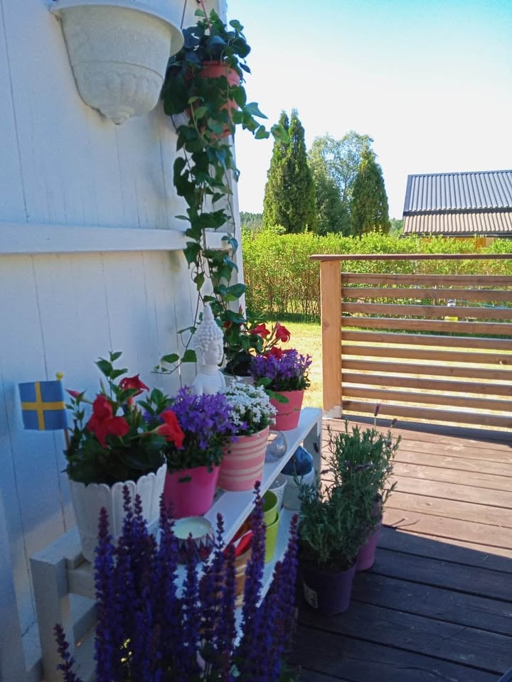 Kolonistuga i Perstorp