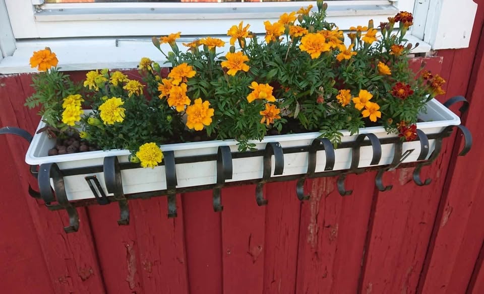 Kolonistuga i Perstorp