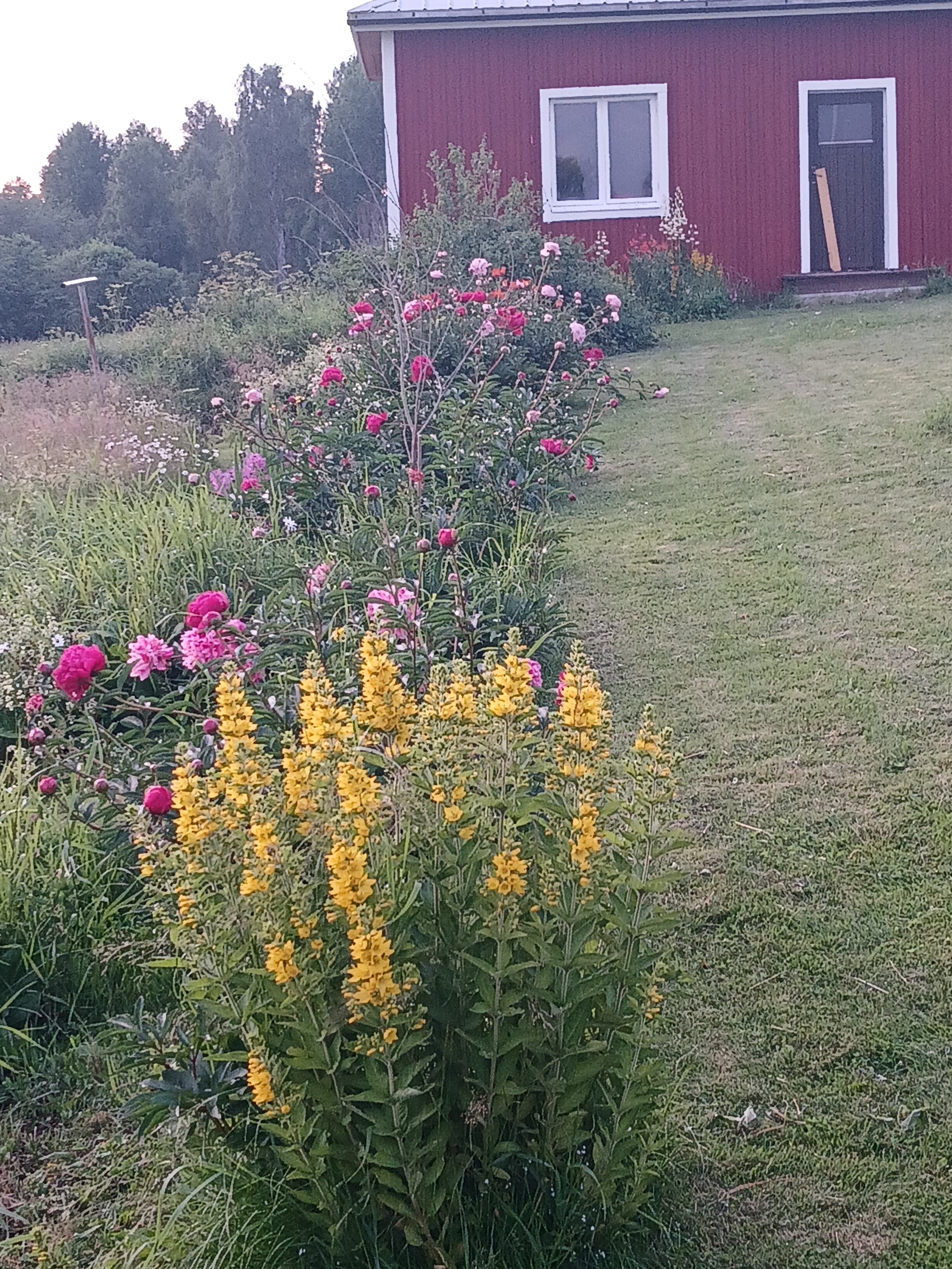 Hus i Ed • Bollstabruk • Kramfors • Höga Kusten
