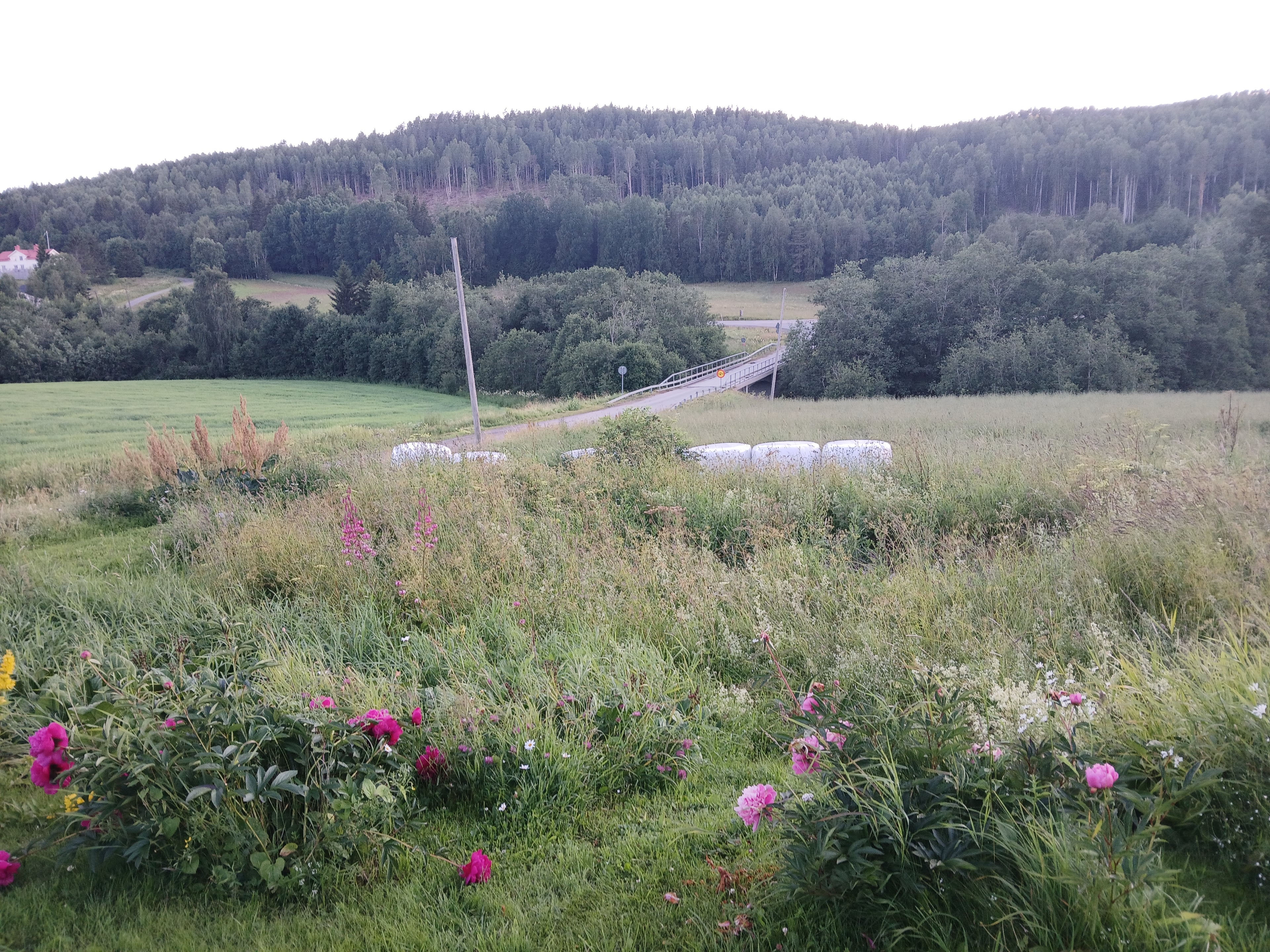 Hus i Ed • Bollstabruk • Kramfors • Höga Kusten