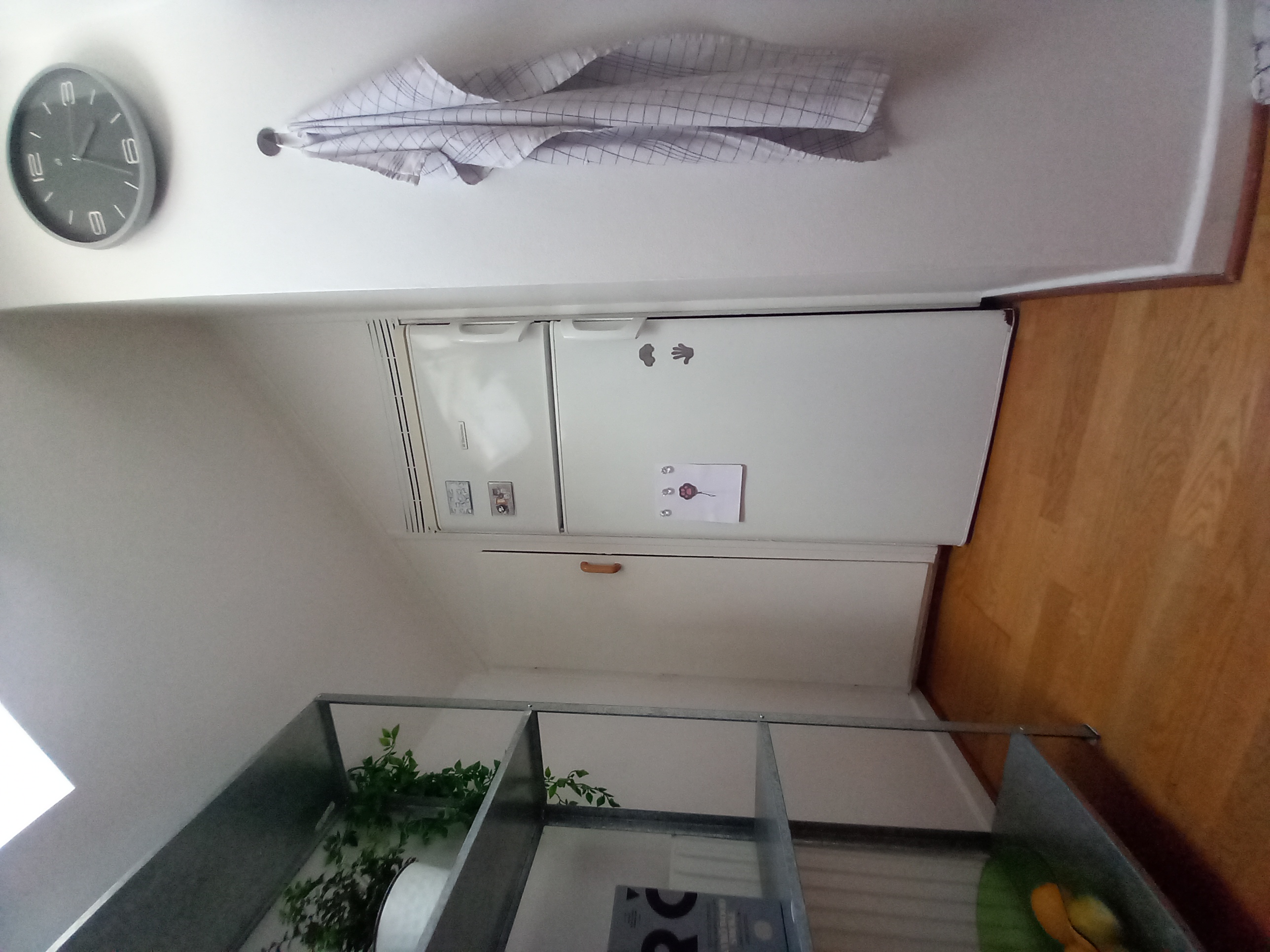Bild 18